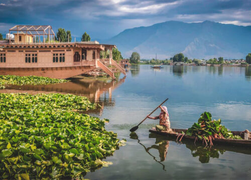 5 Nights 6 Days Kashmir Family Tour Package