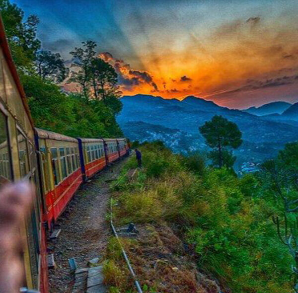 shimla_train