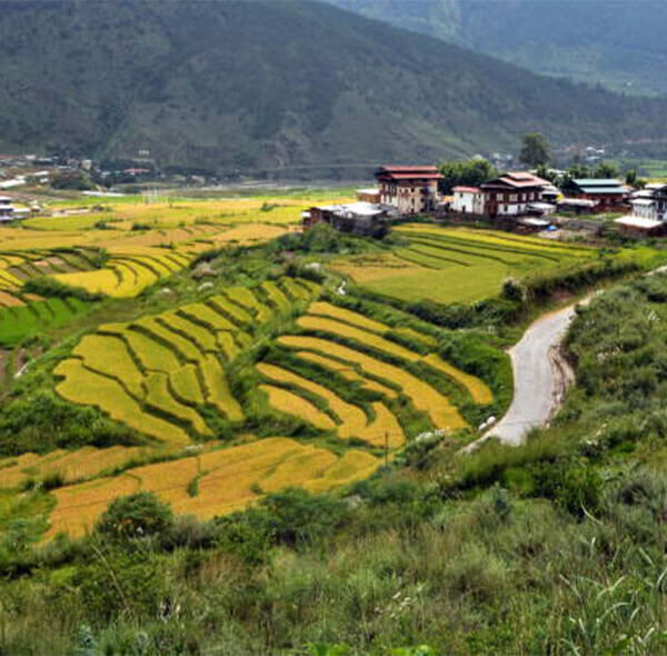 sikkim_tour_package