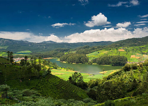 2 Nights 3 Days Ooty Tour Package From Bangalore