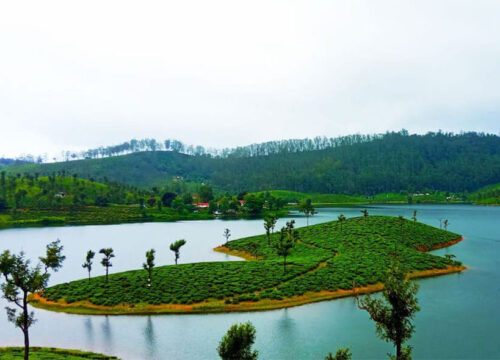 4 Nights 5 Days Ooty Coorg Tour Package