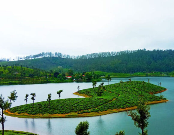 4 Nights 5 Days Ooty Coorg Tour Package