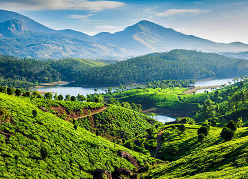 5 Days Bangalore Mysore Wayanad Tour Package