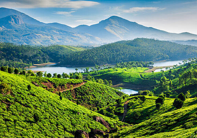 5 Days Bangalore Mysore Wayanad Tour Package