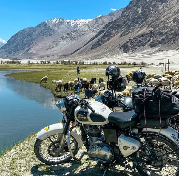 bike_in_leh