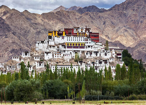 7 Nights 8 Days Leh Tour Package With Srinagar