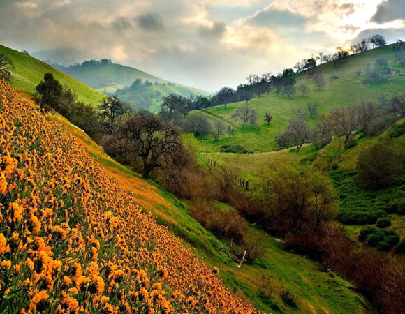 Uttarakhand