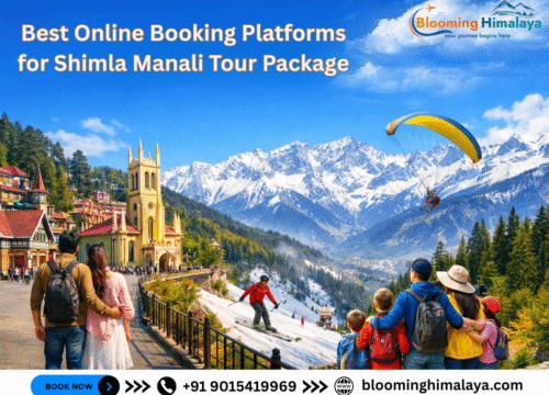 Best Online Booking Platforms for Shimla Manali Tour Package