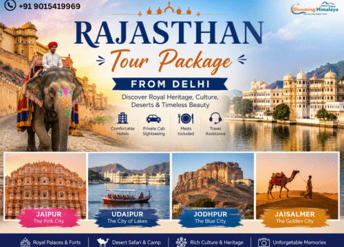 Rajasthan Tour Package from Delhi – Complete Royal Rajasthan Travel Guide